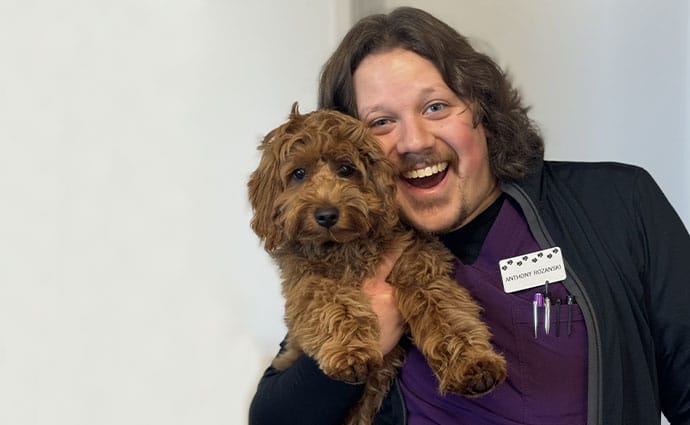 Summit Veterinary Care